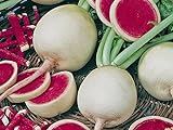 foto: jetzt Radieschen - Radies - Winterradieschen - Wassermelone (100 Samen) Online, bester Preis 2,15 € (0,02 € / stück) neu 2024-2023 Bestseller, Rezension