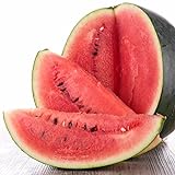 photo: You can buy Black Diamond Watermelon Seeds, 50 Heirloom Seeds Per Packet, Non GMO Seeds online, best price $6.25 ($0.12 / Count) new 2024-2023 bestseller, review