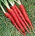 photo Atomic Red Carrots, 250 Heirloom Seeds Per Packet, Non GMO Seeds, (Isla's Garden Seeds), Botanical Name: Daucus Carrota, 80% Germination Rates 2024-2023