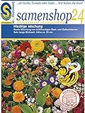 foto: jetzt Samenshop24´s Bienenfreude, niedrige Blumenmischung (1 Stück) Online, bester Preis 2,49 € (2,49 € / Stück) neu 2024-2023 Bestseller, Rezension