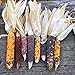 foto Semillas de maíz, 1 bolsa de semillas de maíz fáciles de producir semillas de maíz de jardín coloridas y nutritivas para plantar al aire libre 2024-2023