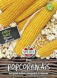 foto: jetzt Maissamen - Mais (Popcornmais) Nana von Sperli-Samen Online, bester Preis 4,97 € neu 2024-2023 Bestseller, Rezension