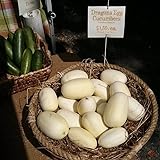 photo: You can buy Dragon Eggs Seeds for Planting - 20 Seeds - White Cucumber Seeds - Ships from Iowa, USA online, best price $7.96 ($0.40 / Count) new 2024-2023 bestseller, review