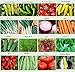 photo Set of 16 Assorted Organic Vegetable Seeds & Herb Seeds 16 Varieties Create a Deluxe Garden All Seeds are Heirloom, 100% Non-GMO Sweet Pepper Seeds, Hot Pepper Seeds-Red Onion Seeds- Green Onion Seeds 2024-2023