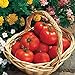 photo Burpee 'Early Girl' Hybrid | Red Slicing Tomato | Rich Flavor & Aroma | 125 Seeds 2024-2023