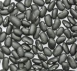 photo: You can buy Bean Seed, Black Turtle Bush Bean, Heirloom, Non GMO, 100 Seeds, Terrific Black Beans online, best price $3.99 new 2024-2023 bestseller, review