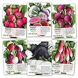 photo: You can buy Seed Needs, Multicolor Radish Seed Packet Collection (6 Individual Packets) Non-GMO Seeds online, best price $11.85 new 2024-2023 bestseller, review
