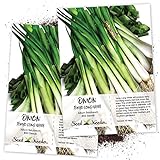 photo: You can buy Seed Needs, Tokyo Long White Onion (Allium fistulosum) Twin Pack of 850 Seeds Each Non-GMO online, best price $4.85 new 2024-2023 bestseller, review