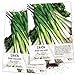 photo Seed Needs, Tokyo Long White Onion (Allium fistulosum) Twin Pack of 850 Seeds Each Non-GMO 2024-2023