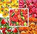photo BIG PACK - (500+ Seeds) Hot Pepper Combo I - Bhut Jolokia Ghost Pepper, Habanero Orange, Habanero Red, Jamaican Yellow, Jamaican Red Pepper Seeds- Non-GMO Seeds by MySeeds.Co (BIG PACK - Hot Pepper I) 2024-2023