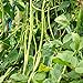 foto 30 unids semillas de frijoles largos, deliciosa planta nutritiva de la granja de jardín para el hogar para la plantación del jardín del jardín al aire libre 1 Semillas de frijoles largos 2024-2023