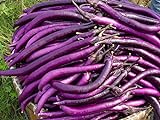 foto: comprar la semilla de berenjena púrpura 200PC. semillas de plantas hortícolas verde natural. Sencillo establecimiento del jardín on-line, mejor precio 5,99 € nuevo 2024-2023 éxito de ventas, revisión