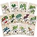 photo Heirloom Vegetable Seeds Kit 13 Pack – 100% Non GMO for Planting in Your Indoor or Outdoor Garden: Tomato, Peppers, Zucchini, Broccoli, Beet, Bean, Carrot, Kale, Cucumber, Pea, Radish, Lettuce 2024-2023