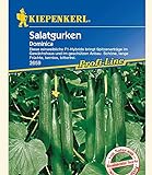 foto: jetzt Kiepenkerl Salatgurken 'Dominica',1 Portion Online, bester Preis 4,49 € neu 2024-2023 Bestseller, Rezension