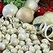 photo Onion Sets Red,Yellow,White or Mix 40-70 bulbs) Garden Vegetable- Choose a color(Yellow) 2024-2023