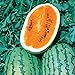 photo Burpee Orange Tendersweet Watermelon Seeds 60 seeds 2024-2023