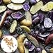 photo 00 graines de pommes de terre mélangées Taux de germination élevée Facile à cultiver Facile à gérer les délices de jardinage de la ferme végétal en culture pour jardin agriculture à la Gra 2024-2023