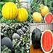 photo Cozy Crib Multicolor Watermelon Mix About 20 Seeds 2024-2023
