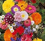 photo: acheter Lot de 50 Graines fleurs en malange a couper jardin colorés fleurs + ou - cornues 40-60 cm semence en ligne, meilleur prix 4,39 € (0,09 € / unité) nouveau 2024-2023 best-seller, examen