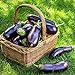 photo 500+ Purple Aubergine Eggplant Seeds Non-GMO Vegetable 2024-2023
