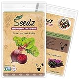 photo: You can buy Organic Beet Seeds, APPR. 225, Early Wonder Tall Top Beet, Heirloom Vegetable Seeds, Certified Organic, Non GMO, Non Hybrid, USA online, best price $7.88 new 2024-2023 bestseller, review