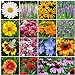 photo All Perennial Wildflower Seed Mix - 1/4 Pound, Mixed, Attracts Pollinators, Attracts Hummingbirds, Easy to Grow & Maintain 2024-2023