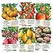 photo Multicolor Tomato Seed Packet Collection (6 Individual Packets) Non-GMO Seeds by Seed Needs 2024-2023