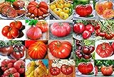 photo: You can buy Mixed Seeds! 30 Giant Tomato Seeds, Mix of 19 Varieties, Heirloom Non-GMO, Brandywine Black, Red, Yellow & Pink, Mr. Stripey, Old German, Black Krim, from USA online, best price $5.69 ($0.19 / Count) new 2024-2023 bestseller, review