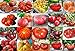 photo Mixed Seeds! 30 Giant Tomato Seeds, Mix of 19 Varieties, Heirloom Non-GMO, Brandywine Black, Red, Yellow & Pink, Mr. Stripey, Old German, Black Krim, from USA 2024-2023