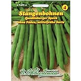 foto: jetzt Stangenbohnen 'Quedlinburger Speck' mittelfrüh, grün, ohne Fäden Online, bester Preis 2,29 € neu 2024-2023 Bestseller, Rezension