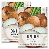 photo: You can buy Seed Needs, Walla Walla Onion Seeds for Planting (Allium cepa) Twin Pack of 450 Seeds Each Non-GMO Long Day online, best price $8.85 new 2024-2023 bestseller, review