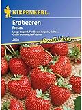 foto: jetzt Erdbeeren Fresca Online, bester Preis 5,14 € neu 2024-2023 Bestseller, Rezension