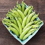 photo: You can buy David's Garden Seeds Pea Snap Cascadia 4567 (Green) 100 Non-GMO, Open Pollinated Seeds online, best price $3.45 new 2024-2023 bestseller, review