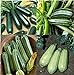 photo David's Garden Seeds Collection Set Zucchini 9835 (Green) 4 Varieties 100 Non-GMO, Open Pollinated Seeds 2024-2023