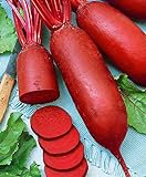 photo: You can buy Seeds4planting - Seeds Beet Rival Red Giant Heirloom Vegetable Non GMO online, best price $6.94 new 2024-2023 bestseller, review