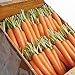 photo David's Garden Seeds Carrot Napoli 1122 (Orange) 200 Non-GMO, Hybrid Seeds 2024-2023