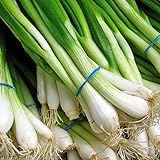 photo: You can buy 1000 Scallion Seeds, A.k.a Green Onion, Spring Onion. Grow Spring/ Late Summer/fall online, best price $3.30 new 2024-2023 bestseller, review