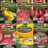 photo: You can buy Tomato Seeds /Heirloom Tomatoes, Open Pollinated Garden Seed - Black Krim, Cherokee Purple, Yellow Brandywine, Red Pear, and Yellow Pear online, best price $9.99 new 2024-2023 bestseller, review