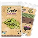 photo: You can buy Organic Bean Seeds, APPR. 30, Windsor Fava Bean, Heirloom Vegetable Seeds, Certified Organic, Non GMO, Non Hybrid, USA online, best price $7.99 new 2024-2023 bestseller, review