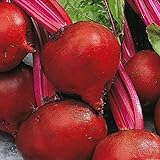 photo: You can buy Bulk Organic Detroit Dark Red Beet Seeds Non GMO (1 Lb) online, best price $16.95 new 2024-2023 bestseller, review