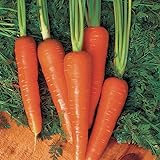 photo: You can buy Carrot Seeds - Moonraker Pelleted - 10,000 Seeds online, best price $20.99 ($0.00 / Count) new 2024-2023 bestseller, review