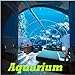 foto Aquarium 2024-2023