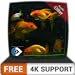 photo FREE Beautiful Aquarium HD - Decorate your room with beautiful Aquarium on your HDR 4K TV, 8K TV and Fire Devices as a wallpaper, Decoration for Christmas Holidays, Theme for Mediation & Peace 2024-2023