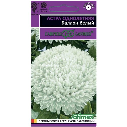 Астра густомахровая Баллон Белый, 1 пакет, семена 0,05 гр, Гавриш, однолетняя фото, описание