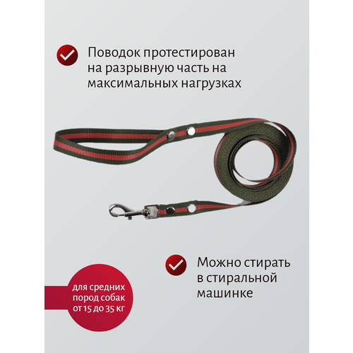 Поводок Хвостатыч для собак нейлоновый классический 1 м х 20 мм (Зелено-красный) фото, описание