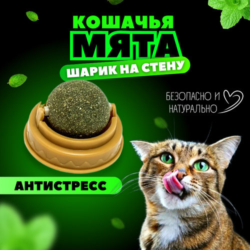 Кошачья мята / Шарик с кошачьей мятой на стену / Лакомство для кошек фото, описание