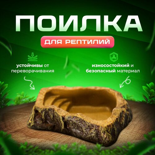 Поилка для террариума и рептилий Simple Zoo, 100х80х30 мм фото, описание