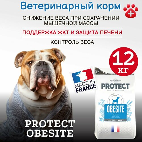 Сухой корм для собак Pro-Nutrition Flatazor Protect Obesite для снижения веса и при сахарном диабете (12кг) фото, описание