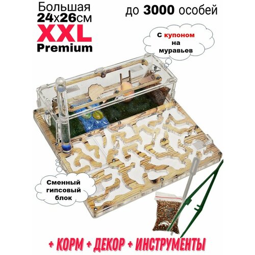 Большая муравьиная ферма XXL Premium 24*26см Полный комплект Сосна фото, описание