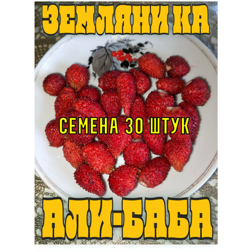 Семена земляники 30 шт фото, описание